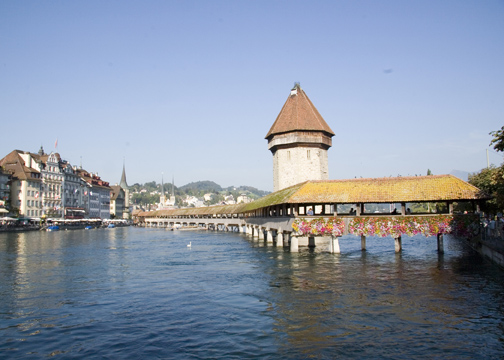 Collette Lucerne
