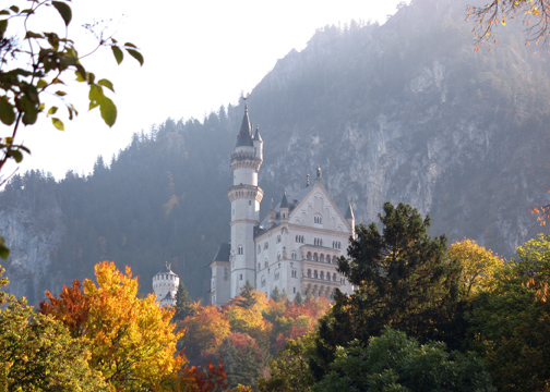 Collette Bavaria