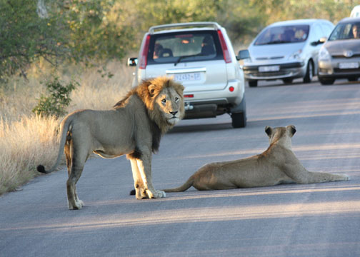 Collette Namibia