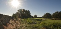 Grey Rock Golf Club Austin