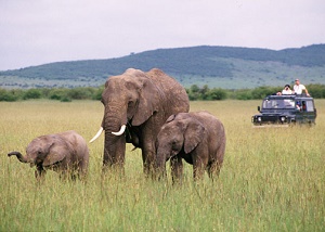 Collette Touring Kenya