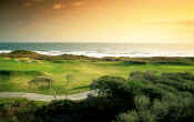 Amelia Island golf