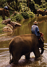 Abercrombie and Kent THAILAND