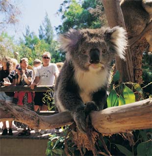 Abercrombie and Kent AUSTRALIA