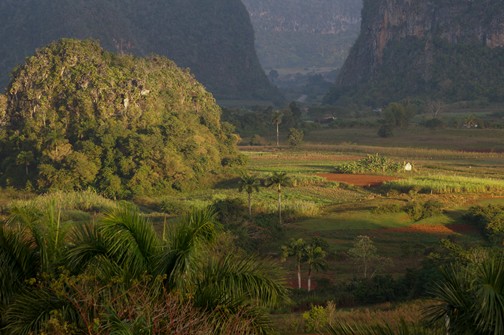 CUBA by Globus Tours