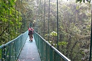 Monteverde rain forest