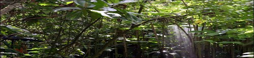Globus Tours COSTA RICA