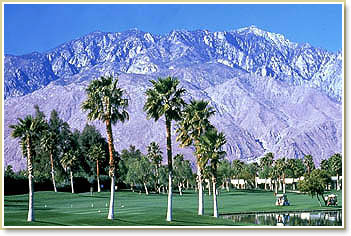 Doral Desert Princess Resort