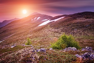 Globus Swiss Alps