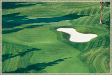RTJ II Golf Course