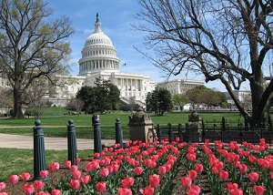 Globus US Capitol