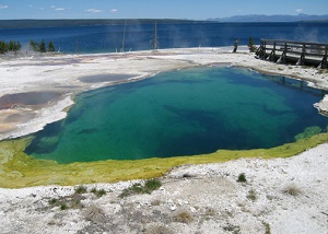 Globus Yellowstone Park