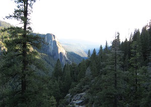 Globus Yosemite