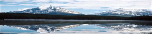 Globus Tours UNITED STATES
