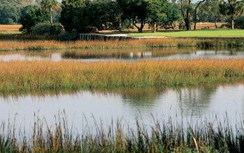 Oak Marsh Golf Club at Amelia