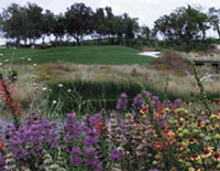 Teravista Golf Club