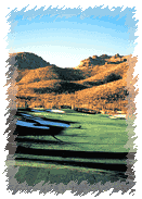 The Raven at Sabino Spgs