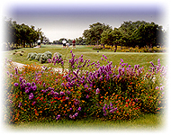 WhiteWing Golf Club