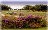 White Wing Golf Club