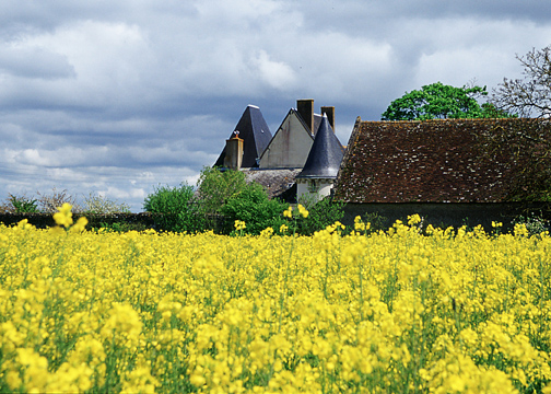 Collette France Wines