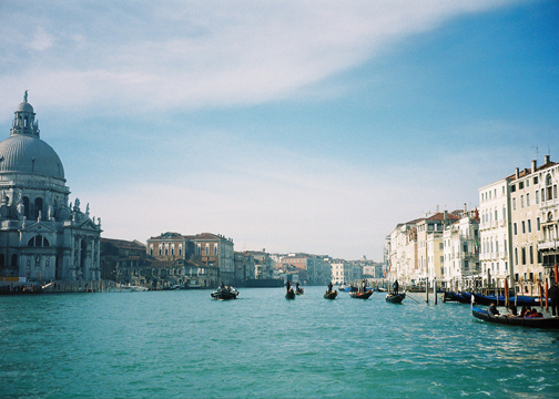 Collette Venice