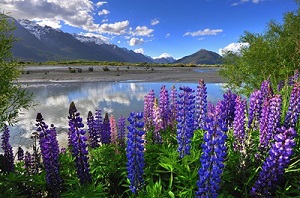 Mount Cook Touring