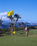 Four Seasons Nevis Resort