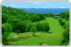 Sandals Golf Resorts