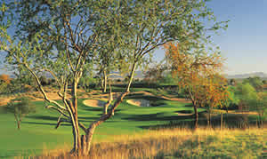 Phoenix golf packages