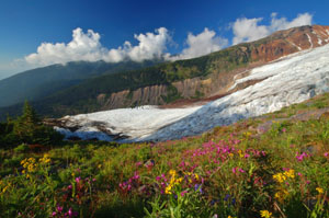 Cosmos Columbia Glaciers