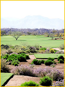 The Golf Club at Vistoso