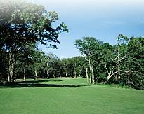 Doral Tesoro Golf Club