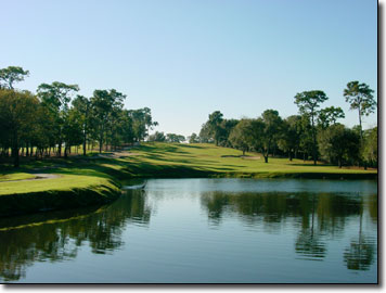 Amelia Island Resort