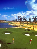 Doral Blue Monster