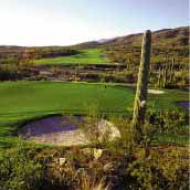 The Raven at Sabino Springs